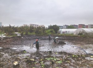 安溪河道鱼塘清淤